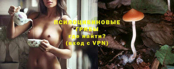 apvp Сясьстрой