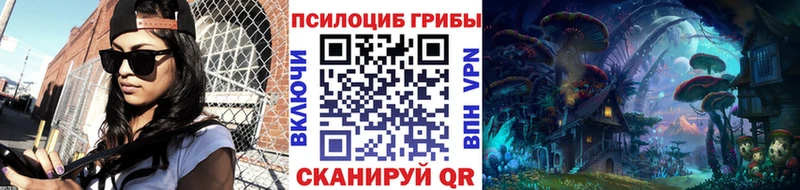 хочу наркоту  Вельск  Галлюциногенные грибы Psilocybe 